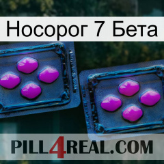 Носорог 7 Бета 03